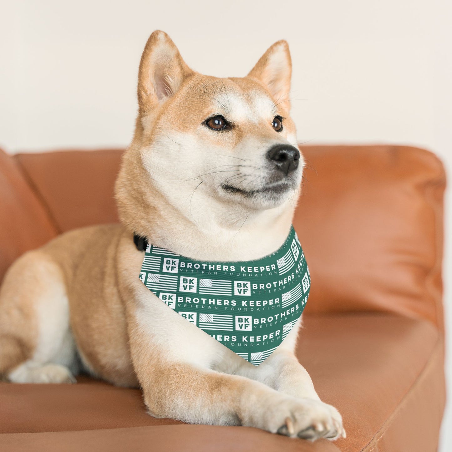 BKVF Pet Bandana Collar - 'Brothers Keeper' Design for Dogs - Teal