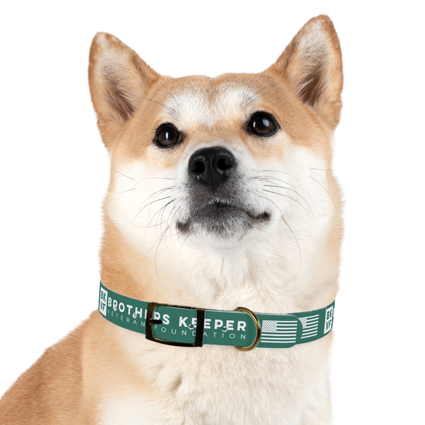 BKVF Dog Collar - Support Our Heroes - Teal