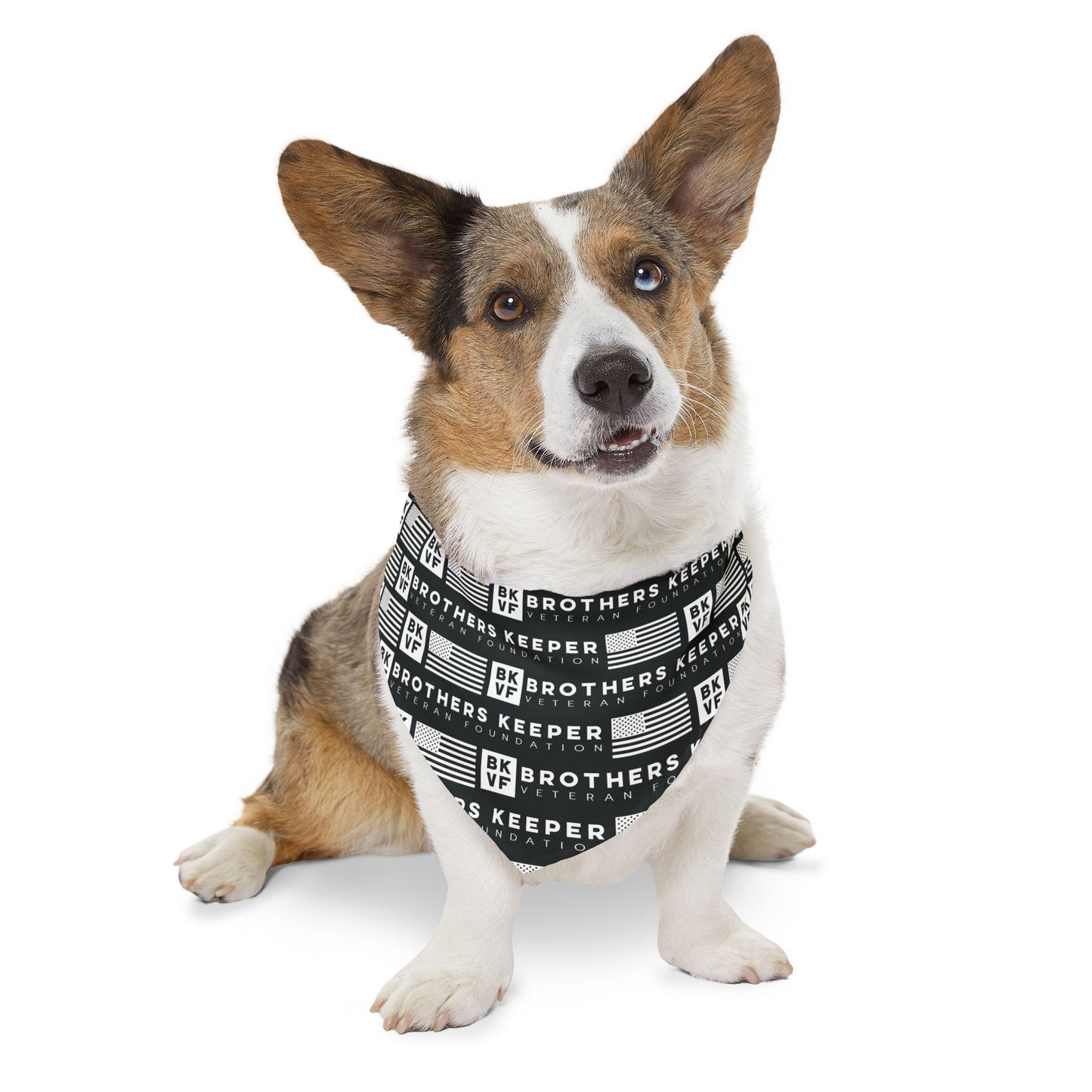 BKVF Pet Bandana Collar - 'Brothers Keeper' Design for Dogs - Black