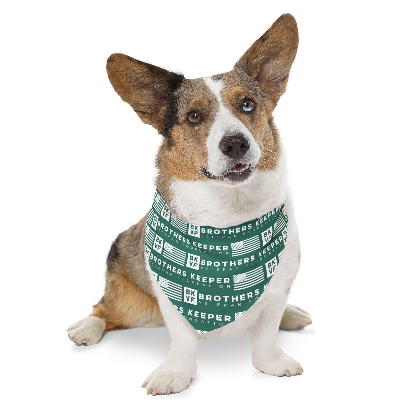 BKVF Pet Bandana Collar - 'Brothers Keeper' Design for Dogs - Teal