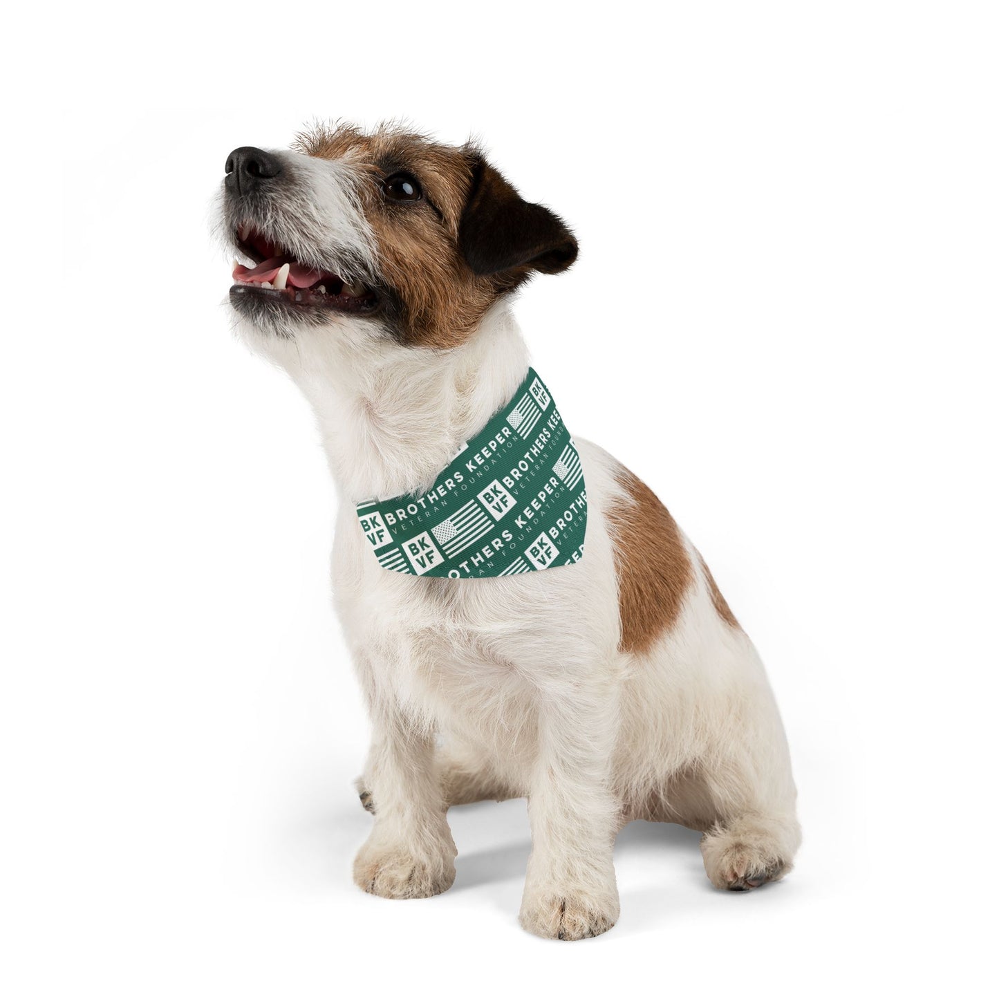 BKVF Pet Bandana Collar - 'Brothers Keeper' Design for Dogs - Teal