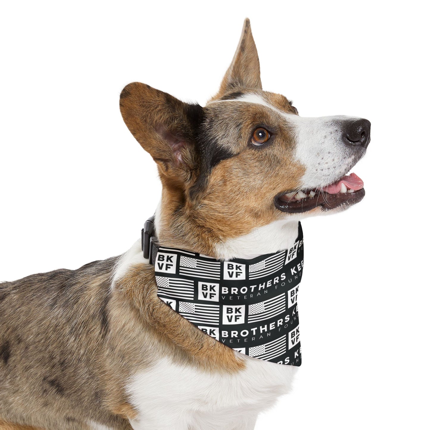 BKVF Pet Bandana Collar - 'Brothers Keeper' Design for Dogs - Black