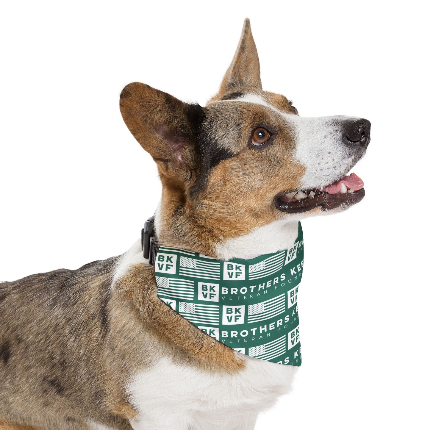 BKVF Pet Bandana Collar - 'Brothers Keeper' Design for Dogs - Teal