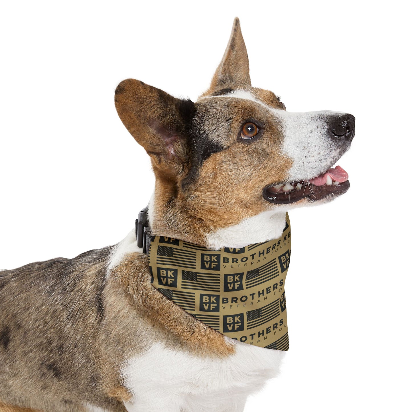 BKVF Pet Bandana Collar - 'Brothers Keeper' Design for Dogs - Sand