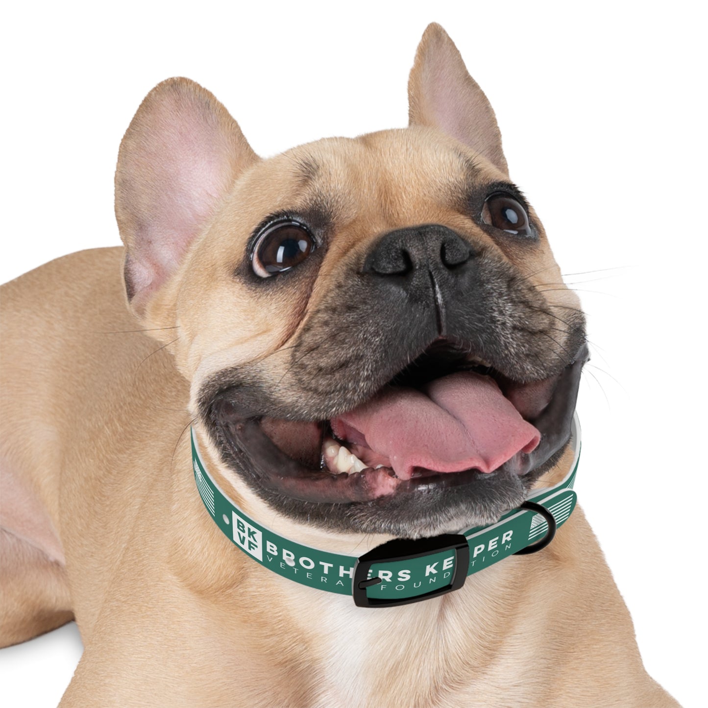 BKVF Dog Collar - Support Our Heroes - Teal